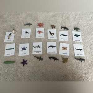 Like new safari ltd ocean animals with their laminated flash cards.